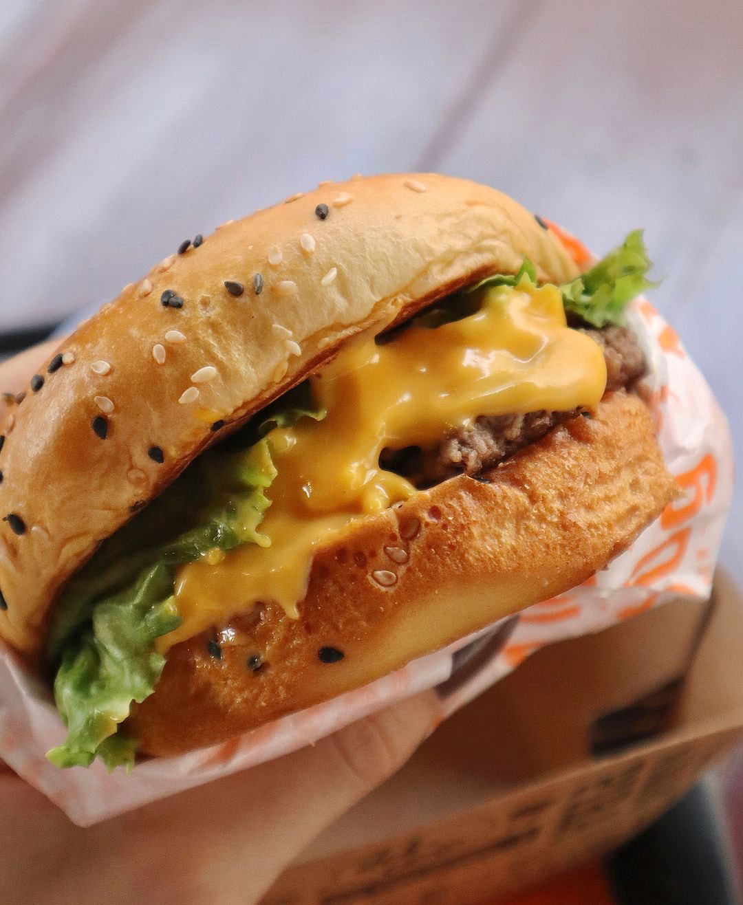 180g Burger Goiânia Duo Gourmet